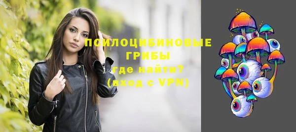 ешки Верхний Тагил
