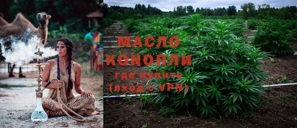 ешки Верхний Тагил