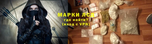 сатива Волоколамск