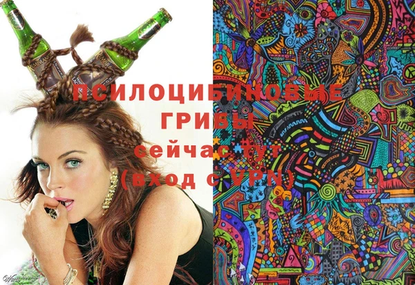 ешки Верхний Тагил