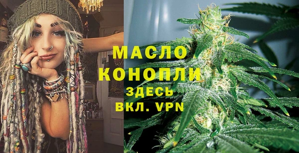 сатива Волоколамск