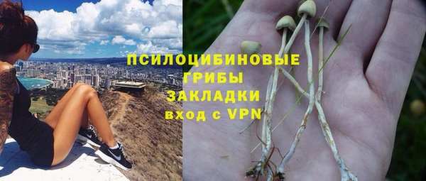 первитин Володарск
