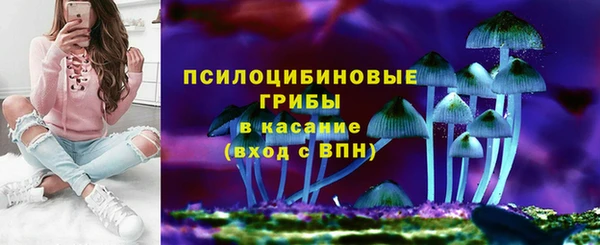 сатива Волоколамск
