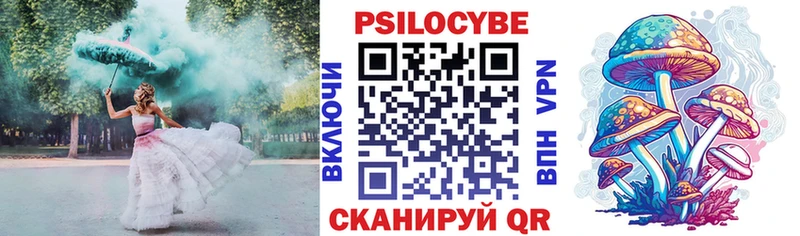Галлюциногенные грибы Magic Shrooms  магазин продажи наркотиков  Кизилюрт 